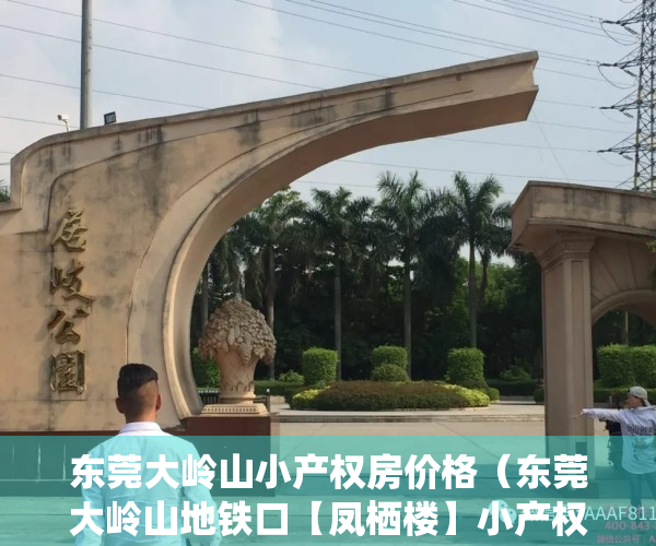 东莞大岭山小产权房价格（东莞大岭山地铁口【凤栖楼】小产权房最新开盘出售 均价4580元起）
