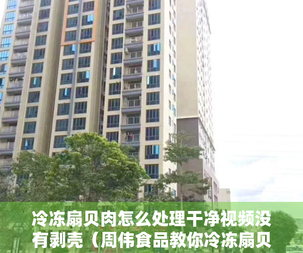 冷冻扇贝肉怎么处理干净视频没有剥壳（周伟食品教你冷冻扇贝肉怎么挑选 扇贝买回来怎么处理）
