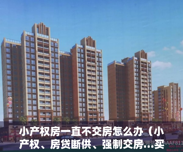 小产权房一直不交房怎么办（小产权、房贷断供、强制交房…买房千万别陷这样的麻烦！这10大典型案例为您支招！）