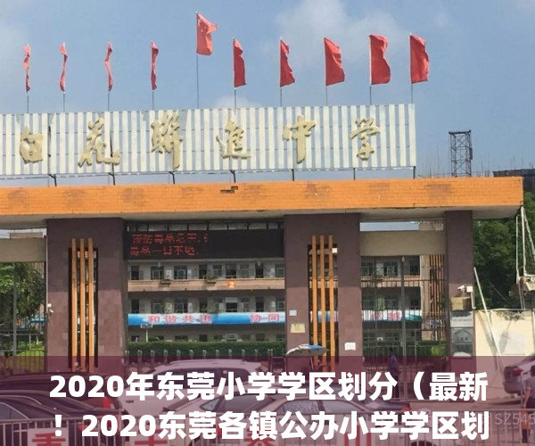 2020年东莞小学学区划分（最新！2020东莞各镇公办小学学区划分方案）(东莞小学学区房有哪些)