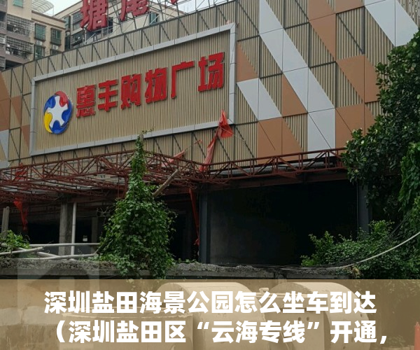深圳盐田海景公园怎么坐车到达（深圳盐田区“云海专线”开通，可直达小三洲浪漫樱花林）