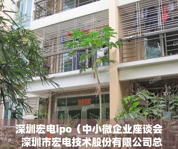 深圳宏电ipo（中小微企业座谈会  深圳市宏电技术股份有限公司总经理张振宇：希望完善平湖金融基地附近交通配套）