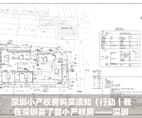 深圳小产权房购买须知（行动丨我在深圳买了套小产权房 ——深圳小产权房购买攻略）