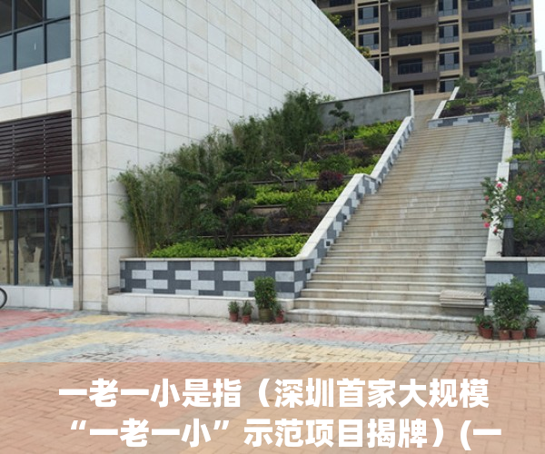 一老一小是指（深圳首家大规模“一老一小”示范项目揭牌）(一老一小2020)