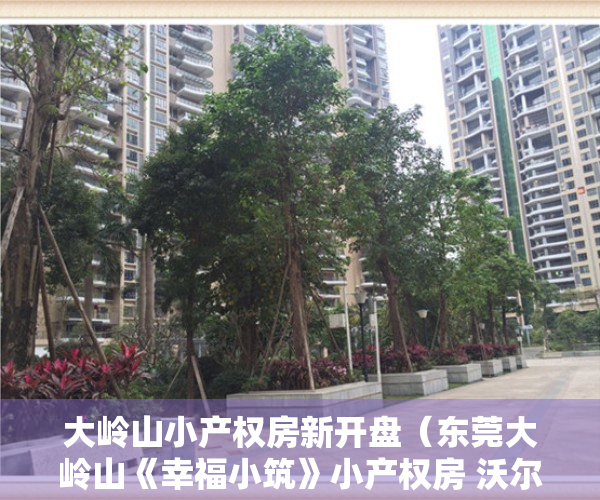 大岭山小产权房新开盘（东莞大岭山《幸福小筑》小产权房 沃尔玛旁一梯两户单价3180元起）