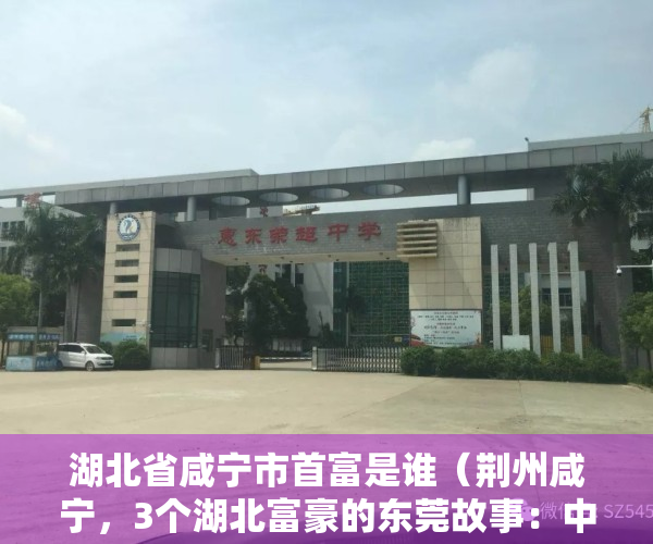 湖北省咸宁市首富是谁（荆州咸宁，3个湖北富豪的东莞故事：中专生在苏州做出科创板公司）