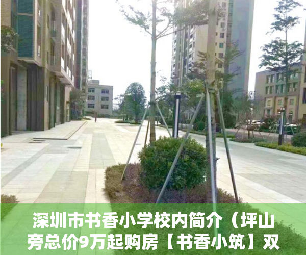 深圳市书香小学校内简介（坪山旁总价9万起购房【书香小筑】双地铁物业，高铁站15分钟）