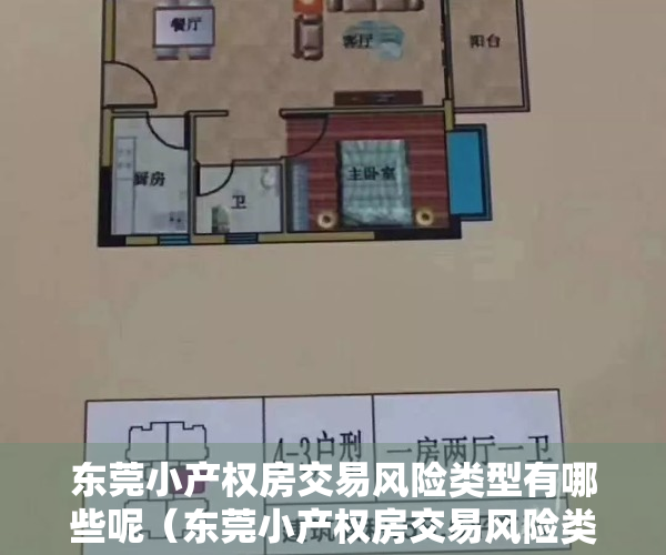 东莞小产权房交易风险类型有哪些呢（东莞小产权房交易风险类型有哪些）
