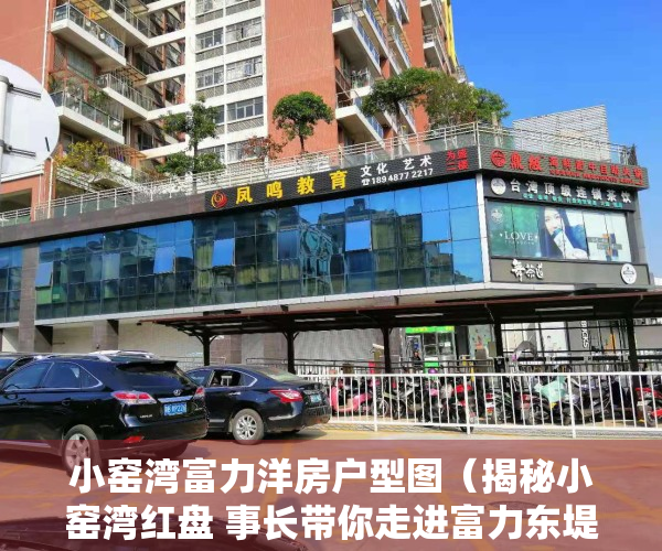 小窑湾富力洋房户型图（揭秘小窑湾红盘 事长带你走进富力东堤湾畔）