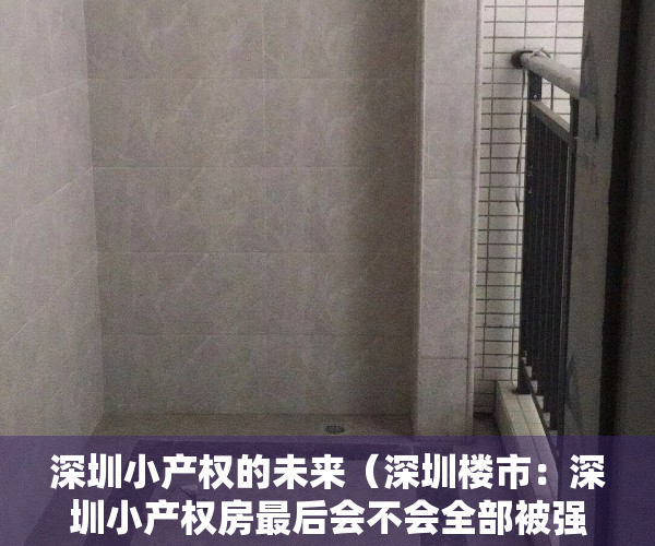 深圳小产权的未来（深圳楼市：深圳小产权房最后会不会全部被强拆掉？）