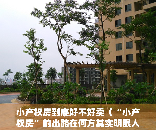 小产权房到底好不好卖（“小产权房”的出路在何方其实明眼人已能看明白）