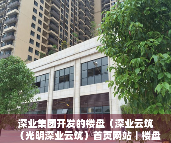 深业集团开发的楼盘（深业云筑（光明深业云筑）首页网站丨楼盘详情地铁学校最新房价）