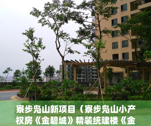 寮步凫山新项目（寮步凫山小产权房《金碧城》精装统建楼《金碧城）(寮步凫山旧改)