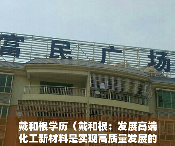 戴和根学历（戴和根：发展高端化工新材料是实现高质量发展的必由之路）