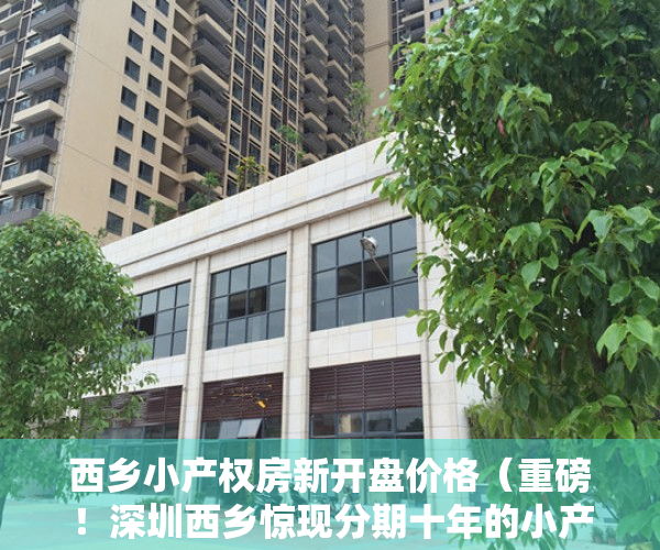 西乡小产权房新开盘价格（重磅！深圳西乡惊现分期十年的小产权房，月供可比租金贵！）