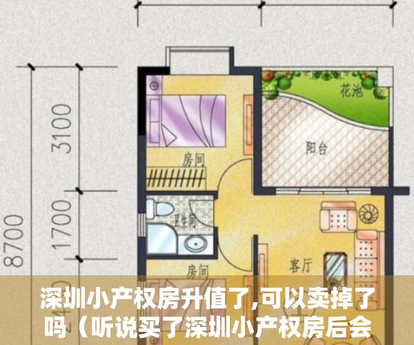 深圳小产权房升值了,可以卖掉了吗（听说买了深圳小产权房后会影响买商品房，怎么办？）