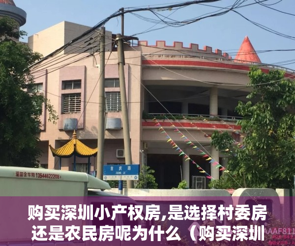 购买深圳小产权房,是选择村委房还是农民房呢为什么（购买深圳小产权房，是选择村委房还是农民房呢？）
