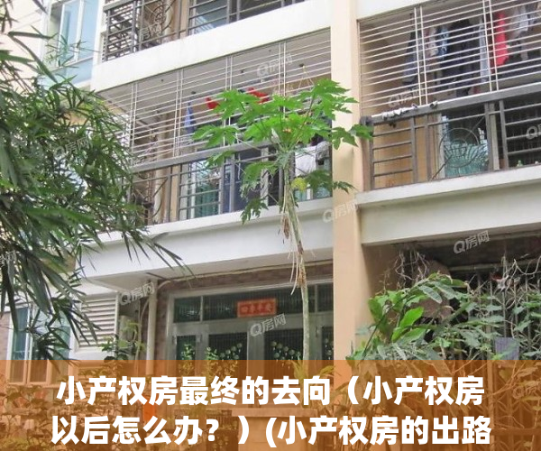 小产权房最终的去向（小产权房以后怎么办？）(小产权房的出路何在)