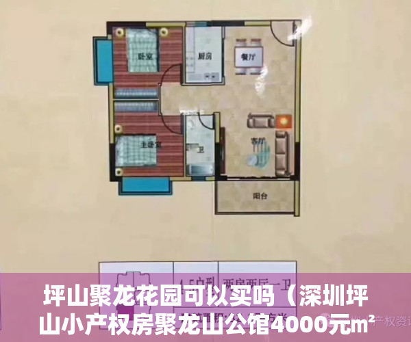 坪山聚龙花园可以买吗（深圳坪山小产权房聚龙山公馆4000元㎡带大红本零首付）