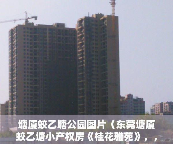 塘厦蛟乙塘公园图片（东莞塘厦蛟乙塘小产权房《桂花雅苑》，，总价138万套起，无条件分期2年免利息，离观澜桂花10分钟）