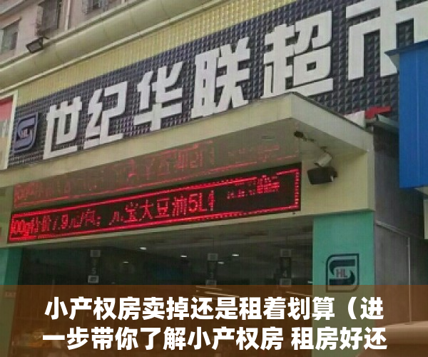 小产权房卖掉还是租着划算（进一步带你了解小产权房 租房好还是买房好 各有各的利弊）