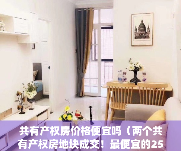 共有产权房价格便宜吗（两个共有产权房地块成交！最便宜的256万平）(共有产权房价格比市场便宜多少)