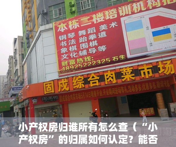 小产权房归谁所有怎么查（“小产权房”的归属如何认定？能否作为遗产继承？）
