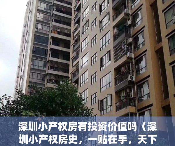 深圳小产权房有投资价值吗（深圳小产权房史，一贴在手，天下我有！）(深圳小产权房的出路)