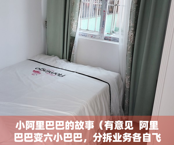 小阿里巴巴的故事（有意见  阿里巴巴变六小巴巴，分拆业务各自飞）