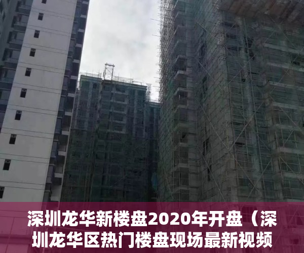 深圳龙华新楼盘2020年开盘（深圳龙华区热门楼盘现场最新视频，点击查看）
