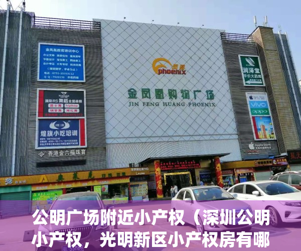 公明广场附近小产权（深圳公明小产权，光明新区小产权房有哪些？）(深圳公明小产权新楼盘平方价格)