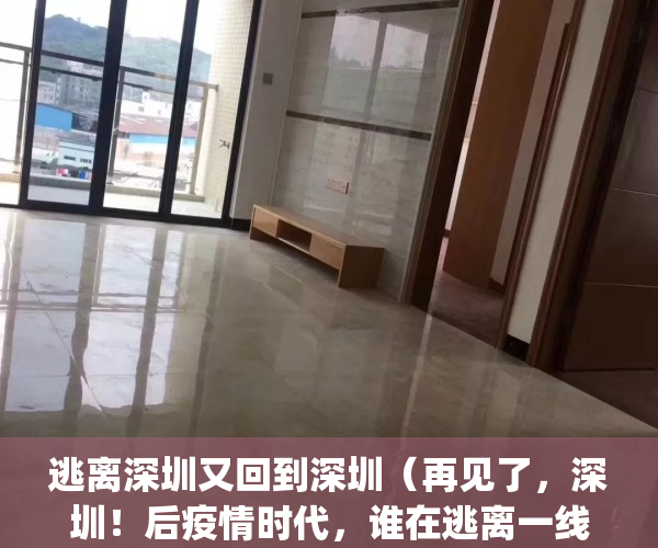 逃离深圳又回到深圳（再见了，深圳！后疫情时代，谁在逃离一线城市？）(逃离深圳回老家可行吗)