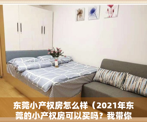 东莞小产权房怎么样（2021年东莞的小产权房可以买吗？我带你解密东莞小产权房）