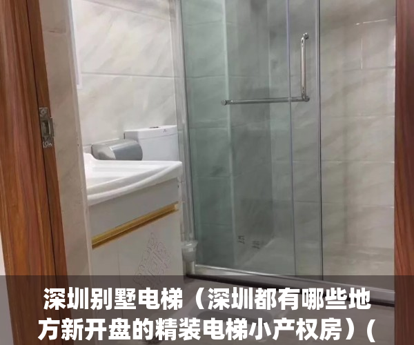 深圳别墅电梯（深圳都有哪些地方新开盘的精装电梯小产权房）(深圳别墅楼盘)