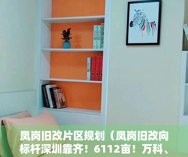 凤岗旧改片区规划（凤岗旧改向标杆深圳靠齐！6112亩！万科、佳兆业、鸿荣源挑大梁）
