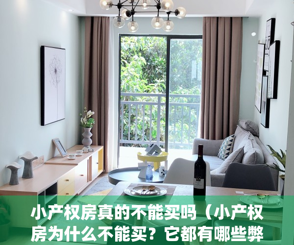 小产权房真的不能买吗（小产权房为什么不能买？它都有哪些弊端？）(小产权不能买卖吗)