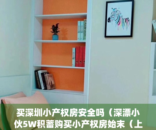 买深圳小产权房安全吗（深漂小伙5W积蓄购买小产权房始末（上））(买深圳的小产权房有风险吗)