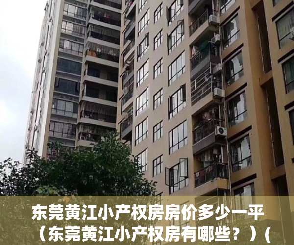 东莞黄江小产权房房价多少一平（东莞黄江小产权房有哪些？）(东莞黄江新楼盘小户型)