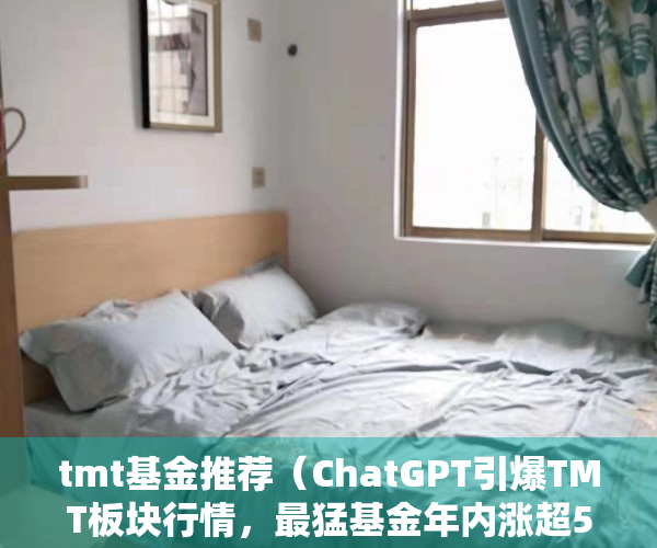 tmt基金推荐（ChatGPT引爆TMT板块行情，最猛基金年内涨超52%！还能买吗？）