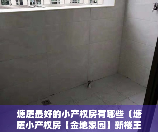 塘厦最好的小产权房有哪些（塘厦小产权房【金地家园】新楼王 封闭式小区，带停车场）