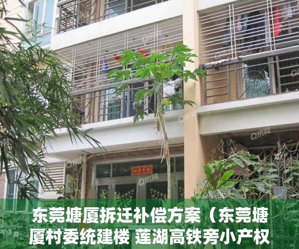 东莞塘厦拆迁补偿方案（东莞塘厦村委统建楼 莲湖高铁旁小产权房 沃尔玛旁户户精装修）