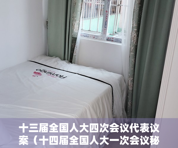 十三届全国人大四次会议代表议案（十四届全国人大一次会议秘书处关于代表提出议案处理意见的报告）