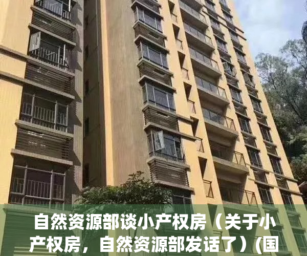 自然资源部谈小产权房（关于小产权房，自然资源部发话了）(国家整治小产权房)