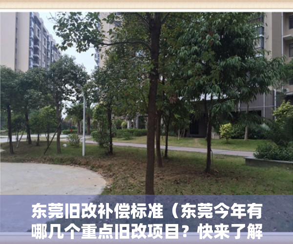 东莞旧改补偿标准（东莞今年有哪几个重点旧改项目？快来了解一下吧！）