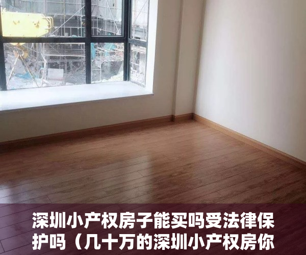 深圳小产权房子能买吗受法律保护吗（几十万的深圳小产权房你不敢买？读懂这30段话买房也就通透了）