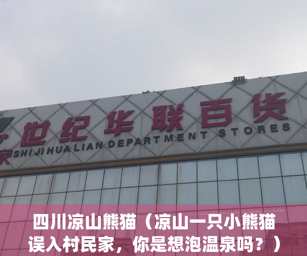 四川凉山熊猫（凉山一只小熊猫误入村民家，你是想泡温泉吗？）(凉山熊猫基地)