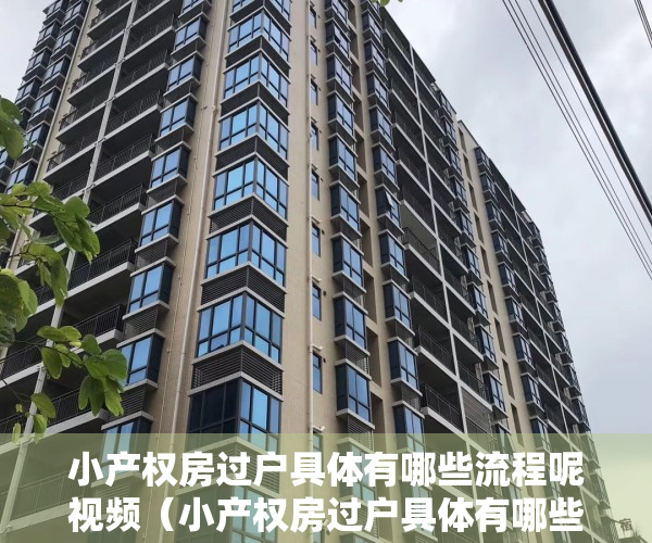 小产权房过户具体有哪些流程呢视频（小产权房过户具体有哪些流程呢）