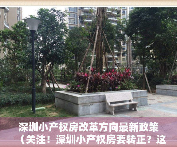 深圳小产权房改革方向最新政策（关注！深圳小产权房要转正？这个消息让半个深圳沸腾了！）