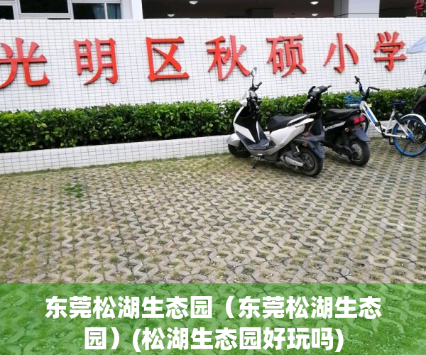 东莞松湖生态园（东莞松湖生态园）(松湖生态园好玩吗)