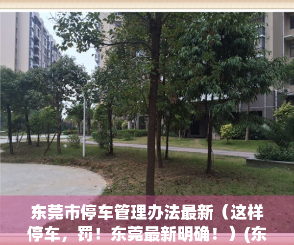 东莞市停车管理办法最新（这样停车，罚！东莞最新明确！）(东莞市区停车收费标准)